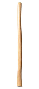 Medium Size Natural Finish Didgeridoo (TW1475)
